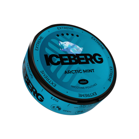 Iceberg Arctic Mint Mini